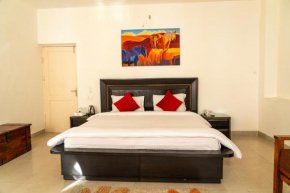 Aestus Adventure and Wellness Centre